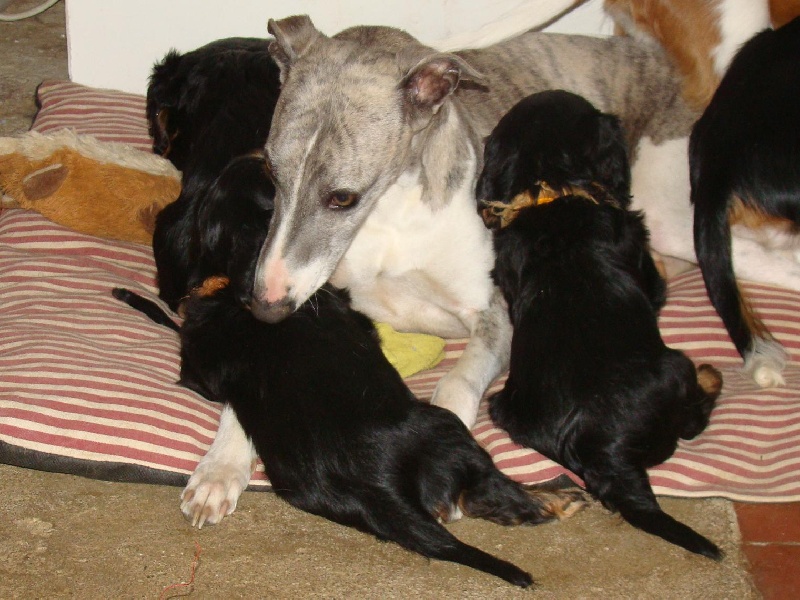 EDHA ET LES BEBES D'ELOISE